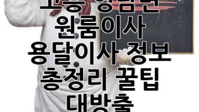 🚚 고흥 영남면 원룸이사, 용달이사 정보 총정리! 꿀팁 대방출 🍯