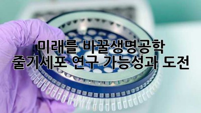 미래를 바꿀🧬생명공학 줄기세포 연구, 가능성과 도전!